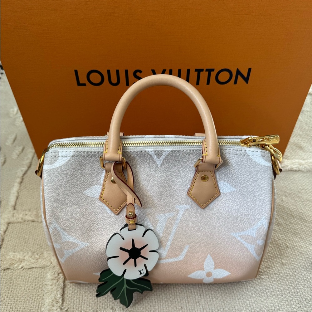 Louis Vuitton Speedy